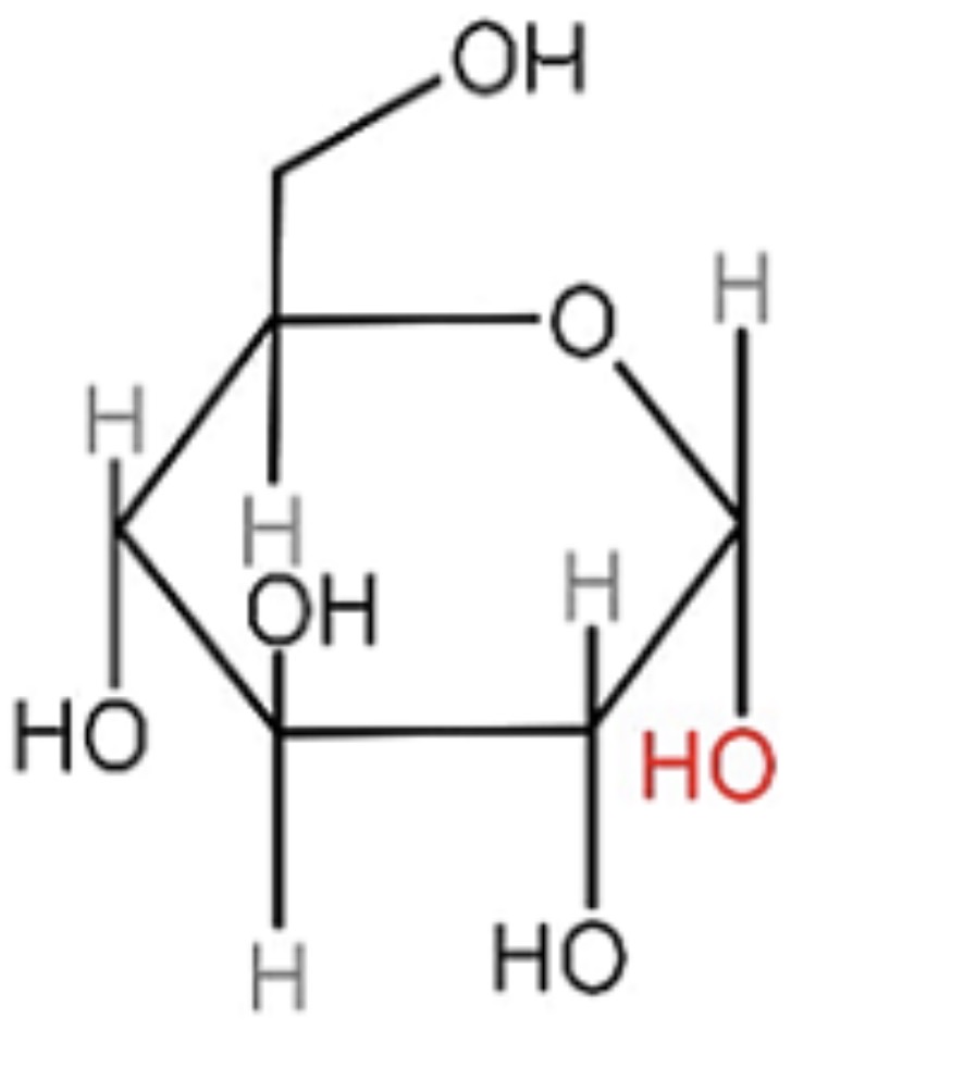 <p>Identify this.</p>