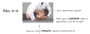 <p>thenar goes on superior aspect</p>