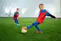 <p>football pitch</p>