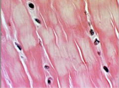 <p>What does this image show?</p>