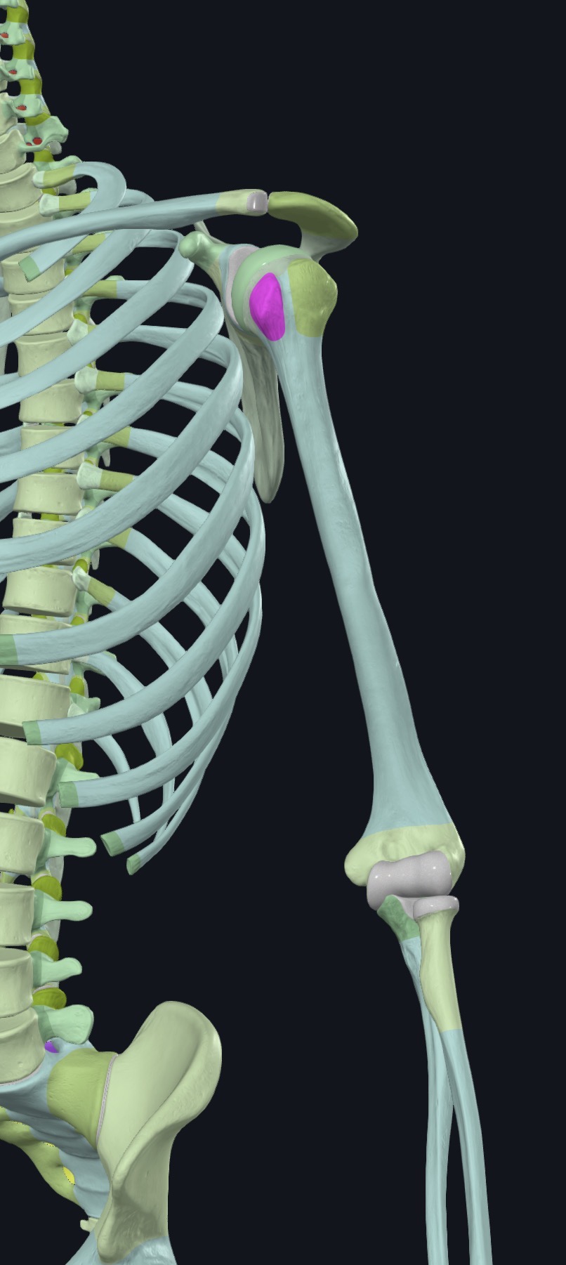 <p>what is this?</p>