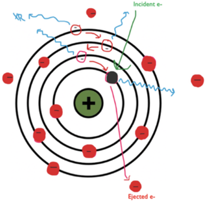 <p>Which interaction is this</p>