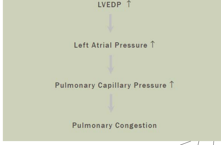 <p>Decreased myocardial contractility</p><p>Decreases cardiac output and SV</p><p>Because of a decrease in CO and SV…</p><p>Causes hypoperfusion to the organs</p><p>Increases in ESV, EDV, increased LVEDP/LAP</p><p>Pulmonary congestion</p><p></p><p><span>Hypoperfusion to the organs is </span><mark>a critical medical condition where blood flow is reduced or restricted, leading to insufficient delivery of oxygen, glucose, and nutrients to tissues</mark>.</p>