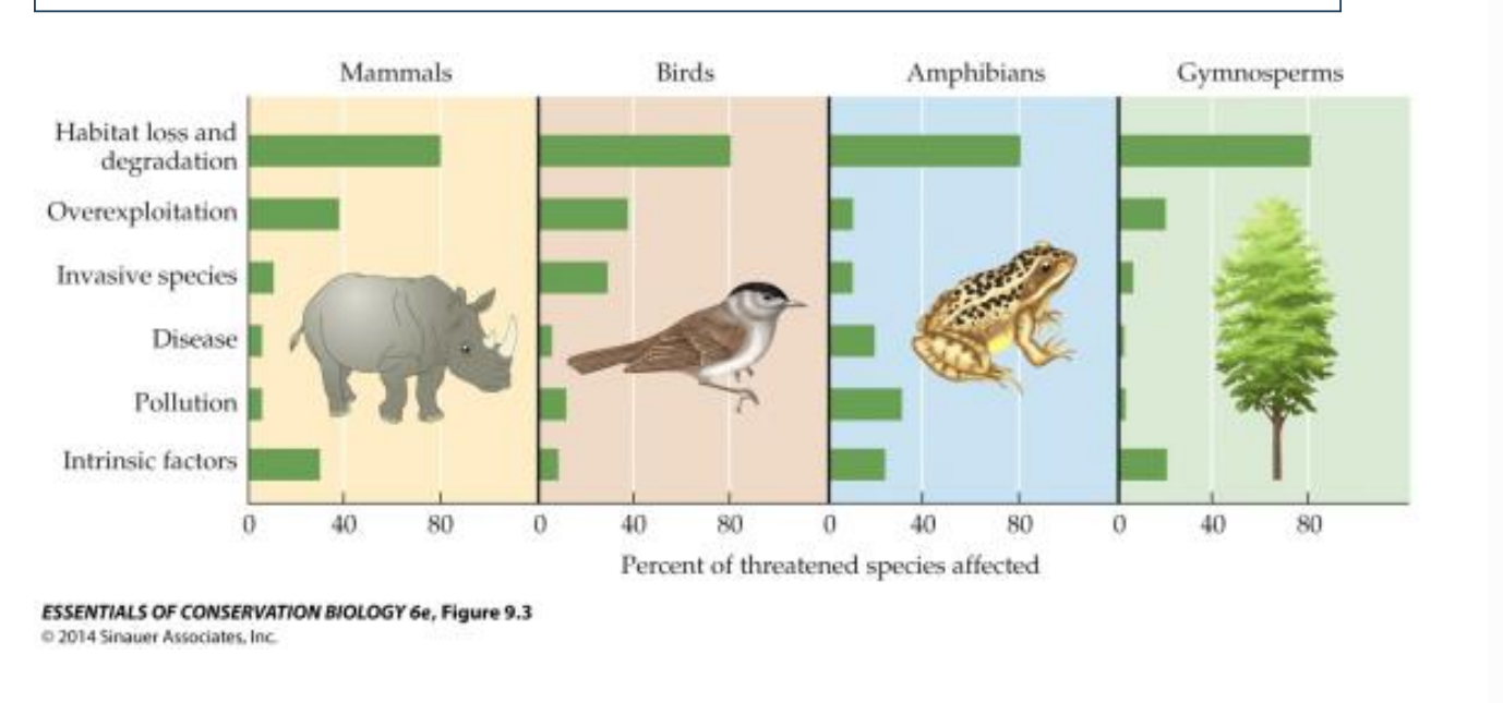 <p>Habitat destruction generally happens in three ways, driven by the human activities from your previous slide:</p><ul><li><p><span><strong>Habitat Loss</strong>: The outright elimination of an ecosystem (e.g., clear-cutting a forest for agriculture or paving over wetlands for urbanization). The organisms lose their shelter, food sources, and breeding grounds entirely.</span></p></li><li><p><span><strong>Habitat Fragmentation</strong>: Breaking a large, continuous ecosystem into tiny, isolated patches (e.g., building a highway through a forest). This traps small populations, cuts off migration routes, and limits genetic diversity.</span></p></li><li><p><span><strong>Habitat Degradation</strong>: The ecosystem remains physically intact, but its quality is ruined by pollution, acid rain, or introduced species, making it unlivable for the native wildlife.</span></p></li></ul><div data-type="horizontalRule"><hr></div><p></p>