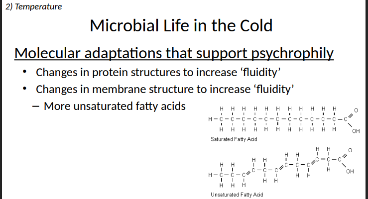 <ol><li><p>Changes in protein structures to increase ‘fluidity’ </p></li><li><p>Changes in membrane structure to increase ‘fluidity’</p></li></ol><p>More unsaturated fatty acids</p>