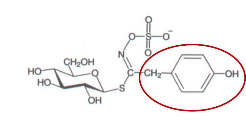 <ul><li><p>classe</p></li><li><p>nome</p></li><li><p>planta</p></li><li><p>percursor </p></li></ul><p></p>