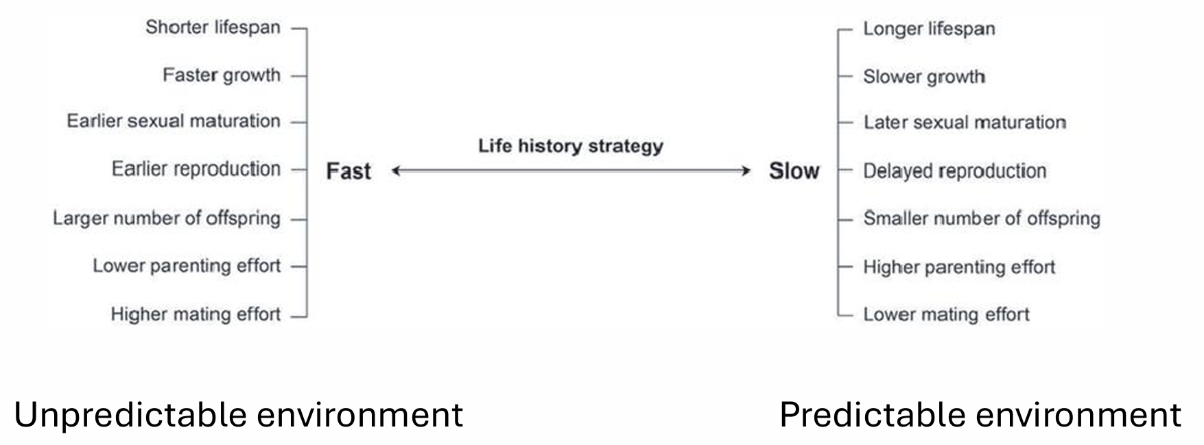 <p>need a balance to allow a continuum of strategies (fast/slow) </p>