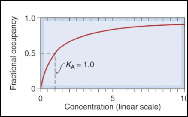 <p>How tightly a drug binds to its receptor. Read through binding assays (% bound vs conc.), not dose-response curves. </p><ul><li><p>Left-shifted curved = higher affinity</p></li></ul><p></p>