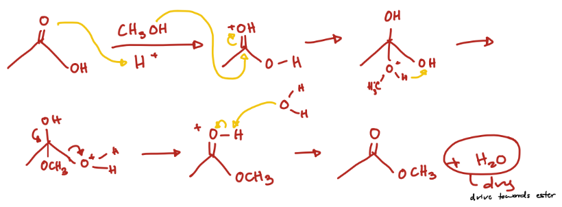<p>Fischer Esterification</p><p>Ester + H2O (must be drying for reaction to drive towards ester) </p>