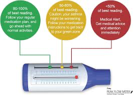 <p>Measures the maximum rate at which rate can be expelled from lungs </p>