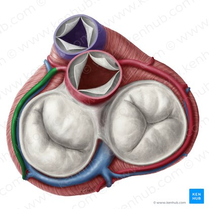 <p>What is this?</p>