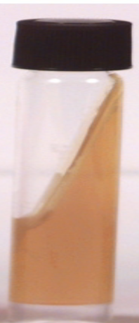 <p>A TSI test that is this color means that the bacteria fermented ________ and/or ________. We can tell this by the tube being yellow throughout with cracks in the agar from CO2 gas being produced. </p>