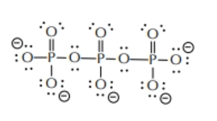 <p>P<sub>3</sub>O<sub>10</sub><sup>5-</sup></p>