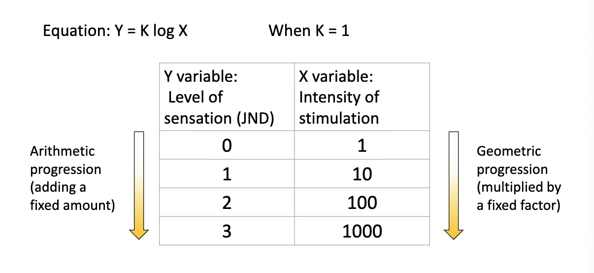 <p>MULTIPLYING by a fixed amount </p>