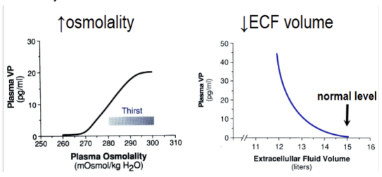 <p>primary= increase in osmolality and secondary=a substantial decrease in extracellular fluid volume.</p>