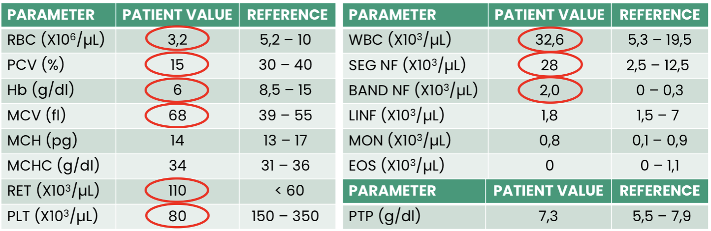 <p>Q1. What does this hemogram show?</p><p>Q2. What is the ethology of this anemia?</p><p>Q3. Finally, what is the conclusion?</p>