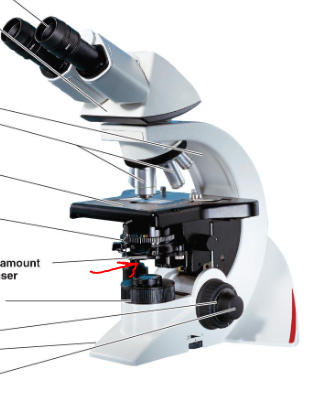 <p>What part of the microscope is this</p>