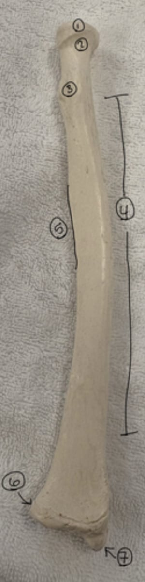 <p>1</p>