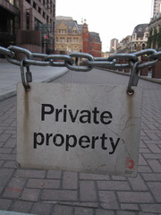 <p>Goods that can be consumed by only one individual at a time. Private goods are subject to the principle of rival consumption.</p>