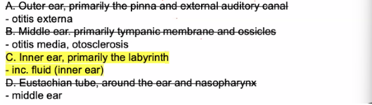 <p>C. Inner ear, primarily the labyrinth</p><ul><li><p>wanako kasabot sa explanation saka paspas</p></li></ul><p></p>