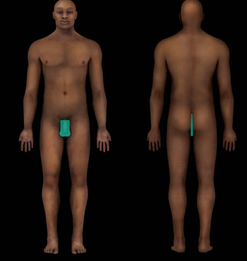 term image