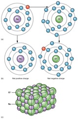 <p>An attraction between oppositely charged ions.</p>