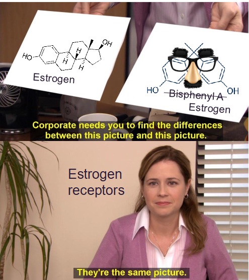 <p><span>Compounds that generally interfere (complex, react etc.) with biological ligand (receptors for signalling). Chemical structure is really important: </span></p><ul><li><p><span>Structural similarities to endogenous chemicals (e.g.,<br>proteins, hormones, enzymes)</span></p><ul><li><p><span>Endocrine disruptors</span></p></li><li><p><span>Enzyme inhibitors</span></p></li></ul></li><li><p><span>Irreversible binding to receptors</span></p></li><li><p><span>No longer produce signals</span></p></li><li><p><span>Leave signalling pathways open</span></p></li><li><p><span>Block signals all together</span></p></li></ul><p></p>