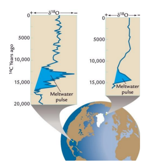 <ul><li><p>Terrestrial meltwater returns Oxygen-16 to the ocean (ratio of 18 to 16 decreases in marine sediment)</p></li><li><p>Marine sediment samples from Gulf of Mexico and near Greenland show decreased Oxygen-18 during YD, indicating influence of terrestrial meltwater</p></li></ul><p></p>
