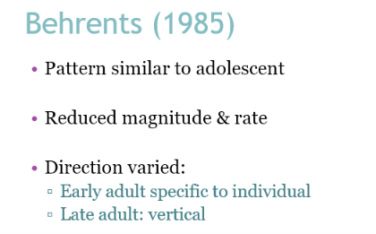 <ul><li><p>Early - specific to individual</p></li><li><p>Late adult - vertical </p></li></ul><p></p>