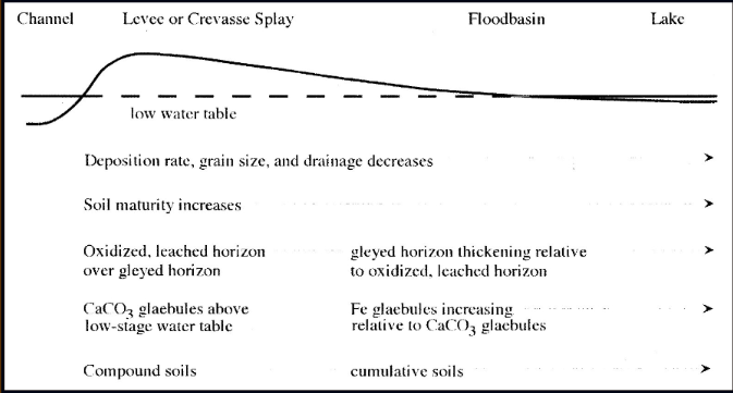 <p><span><span>Lateral variation in a paleosol or soil as a result of environmental change (rivers, elevation etc)</span></span></p>