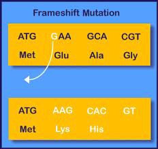 <p>the genetic code is non-overlapping</p><p>so deletion mutations will always lead to a change in the sequence of amino acids, as the entire reading frame will shift to the left</p>