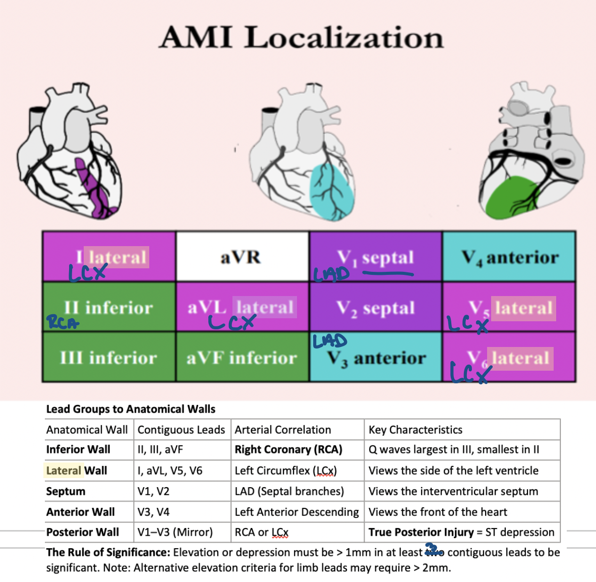 <p><strong>I, aVL, V5, V6</strong></p>