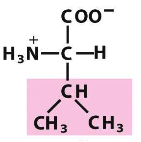 <p>What structure is this? And what group does it fall under?</p>