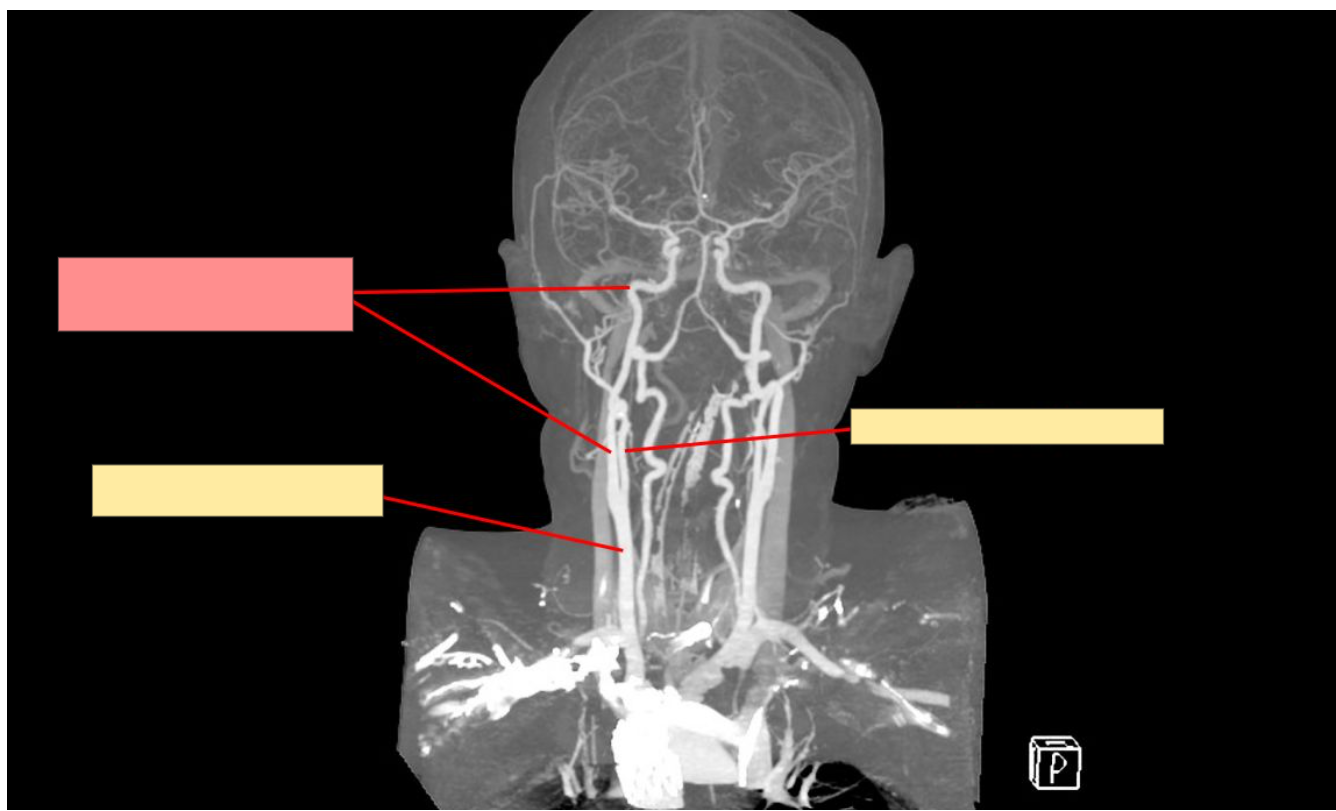 <p>What is this structure?</p>