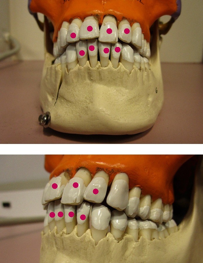 knowt flashcard image