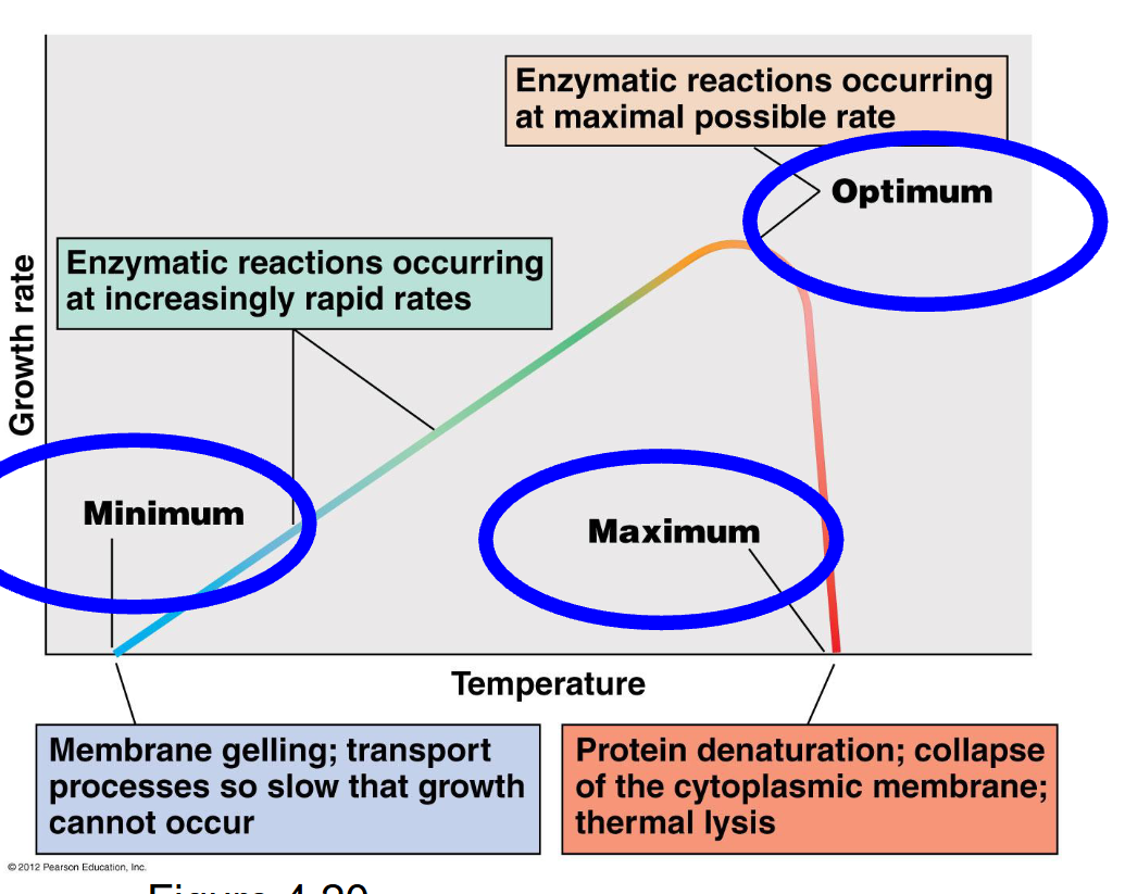 The minimum, optimum, and maximum temperatures at which an organism can grow