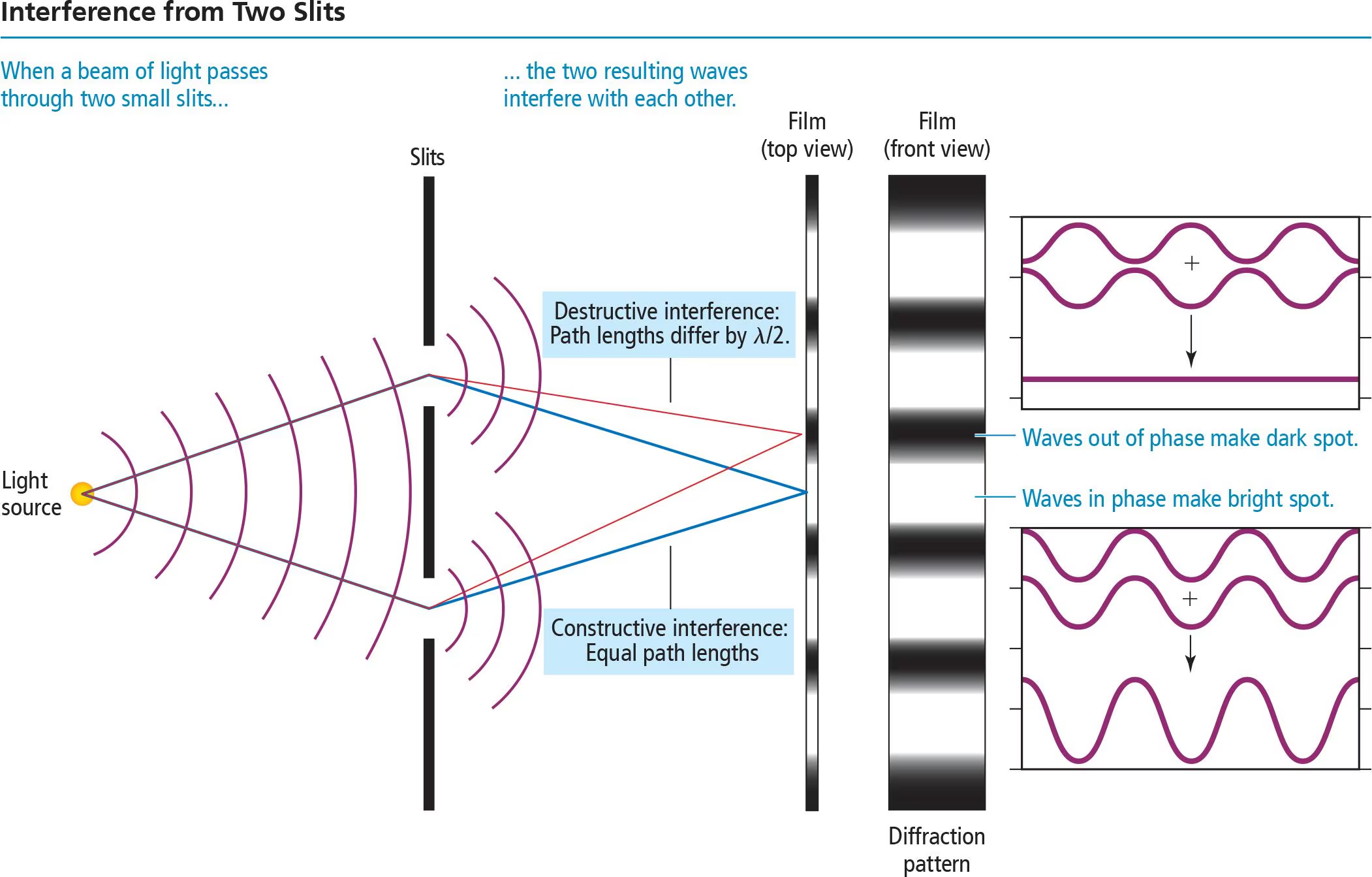 <p>In the creation of an interference patter, each ____ acts as a new wave source, causing two new waves to interfere with each other.</p>