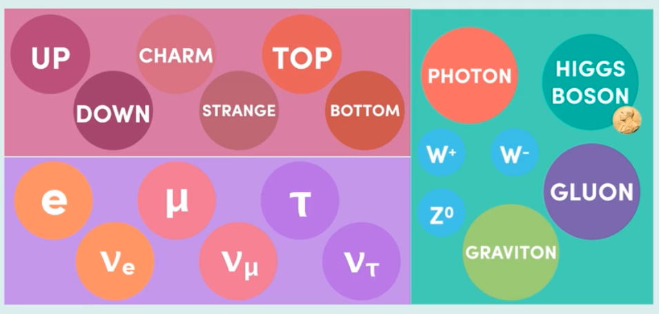 <p>upper quark charge: 1/3<br>lower quark charge: -2/3<br><br>upper lepton charge: -1<br>lower lepton charge: 0</p>