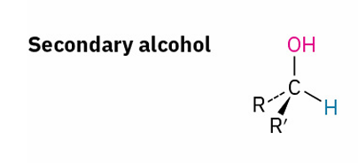 <p>oxidizes to ?</p>
