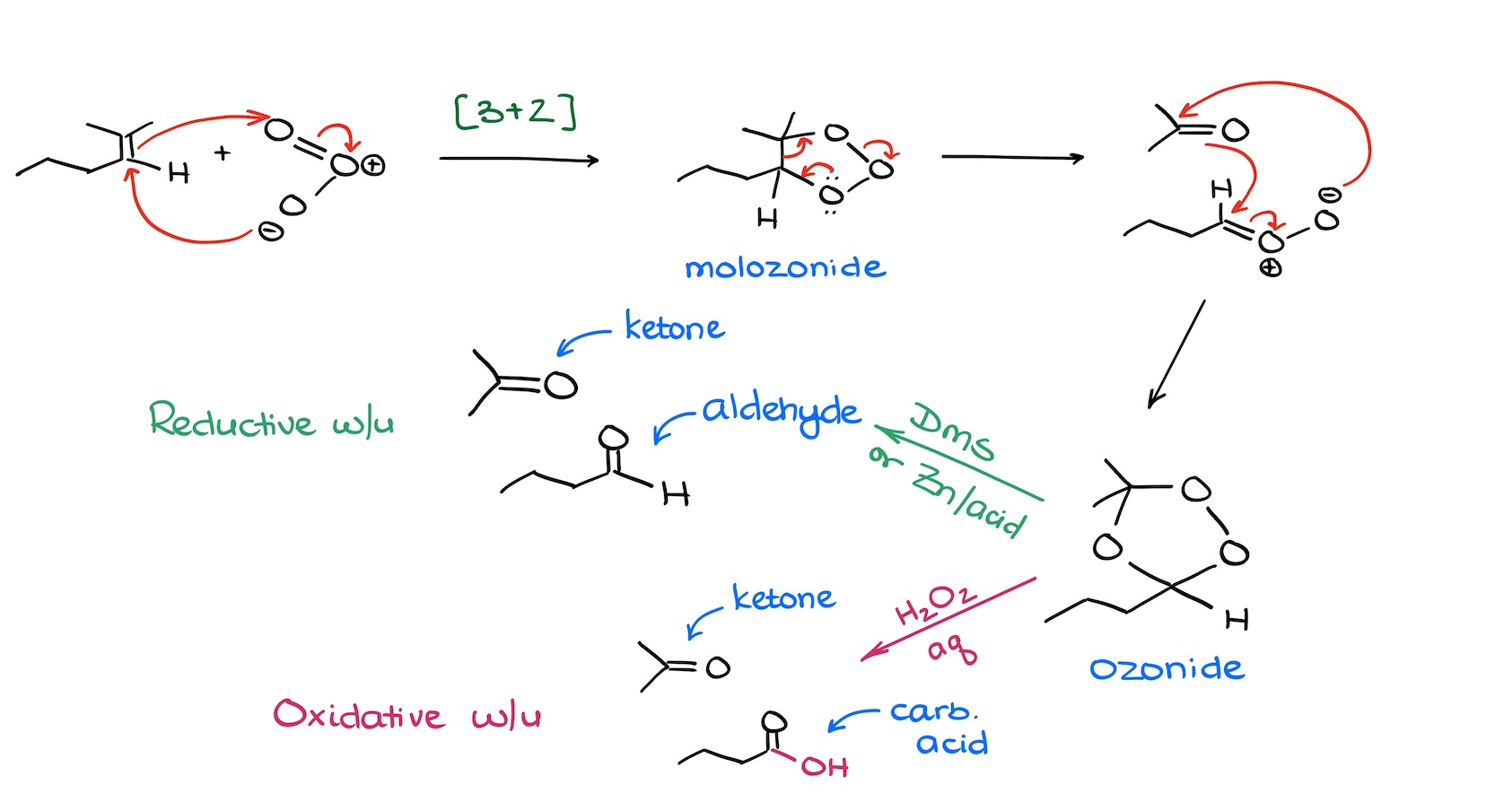 <p>☆ <strong>what is the difference between reductive and oxidative ozonolysis workup?</strong></p>