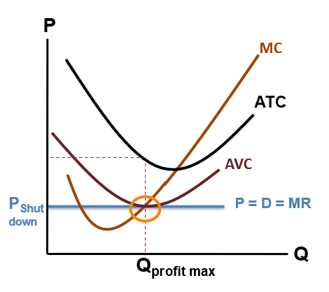 <p>is this firm making profit</p>
