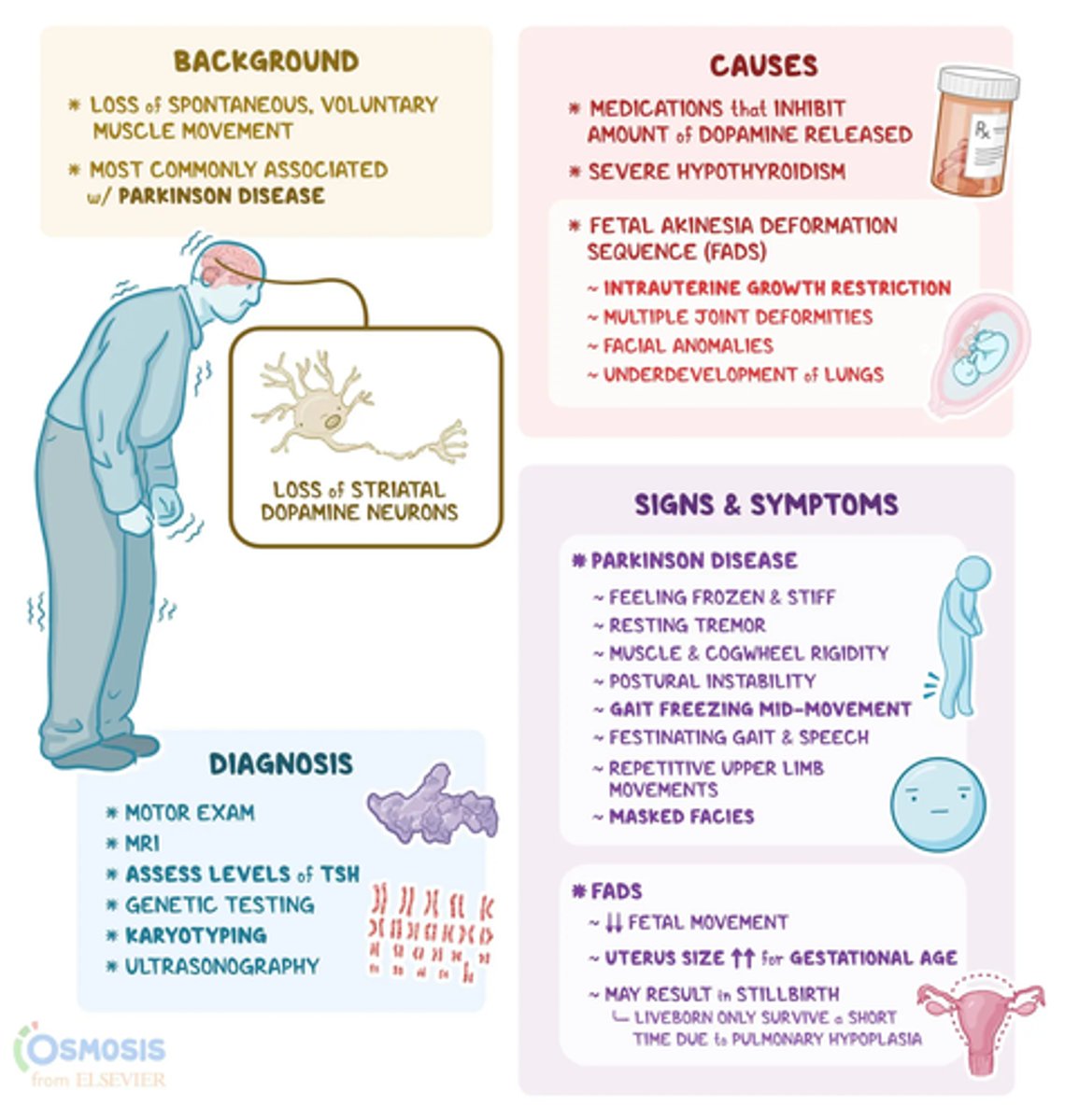 <p>"a" = without</p><p>"kinesis" = movement</p><p>associated w/: antipsychotics</p>