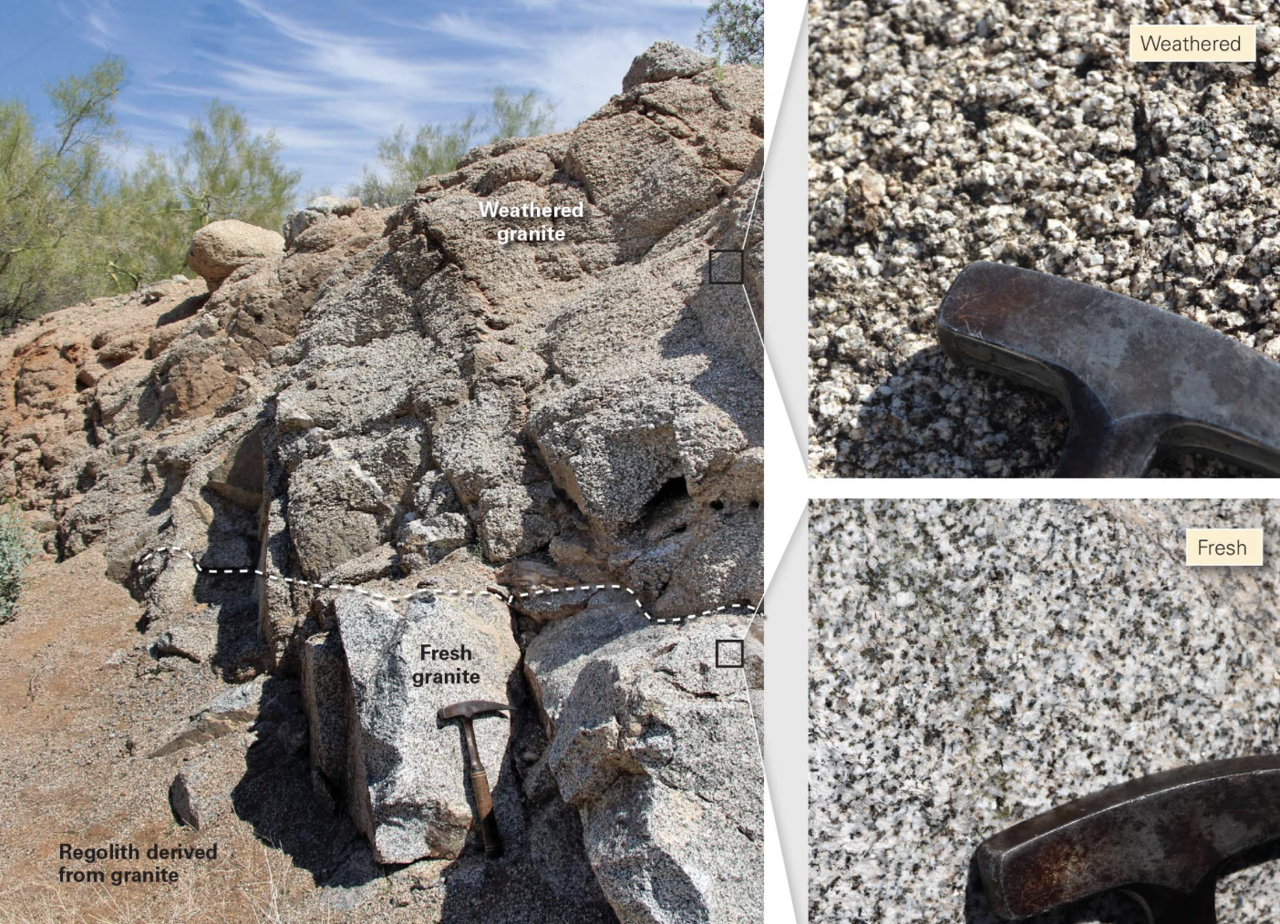 <p>processes that break up and corrode solid rock, eventually transforming it into sediment and can also produces ions that dissolve in surface water and groundwater</p><ul><li><p>may look discolored, or rough, compared with unweathered or fresh rock</p></li></ul><p></p>