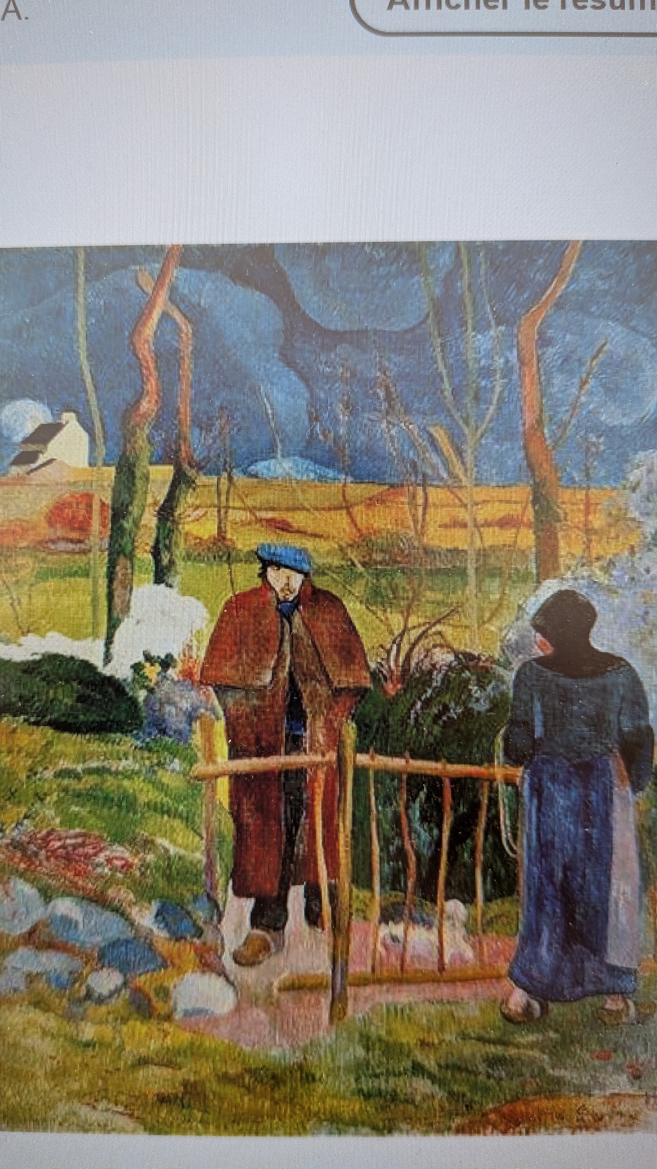 term image