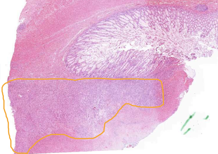 <img src="https://assets.knowt.com/user-attachments/50fddb54-f61c-4d62-9271-88baaf522adf.png" data-width="100%" data-align="center" alt="knowt flashcard image"><p></p>