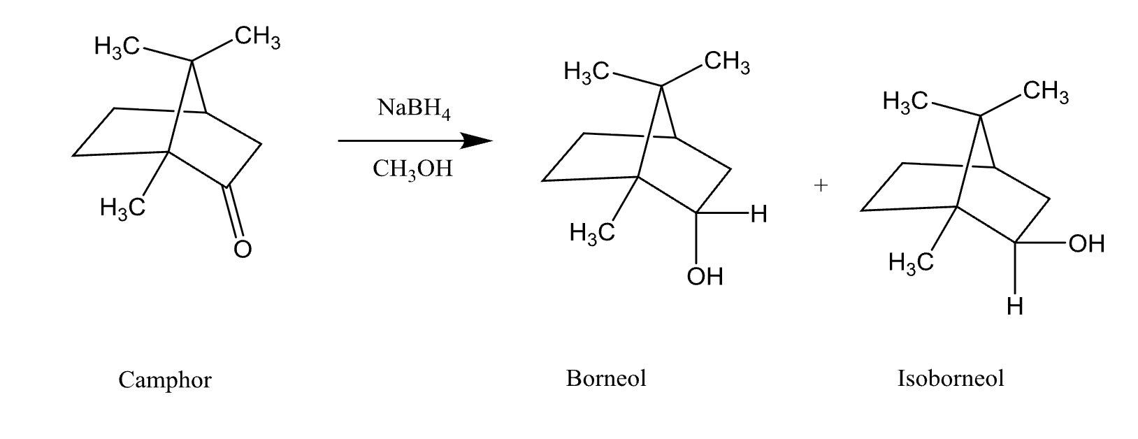 <p>Products in Reduction of Camphor </p>
