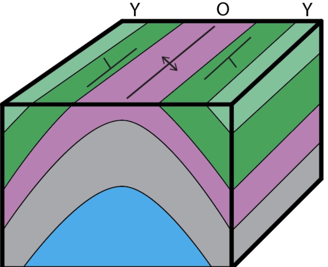 <p>upward fold with oldest rock in center</p>