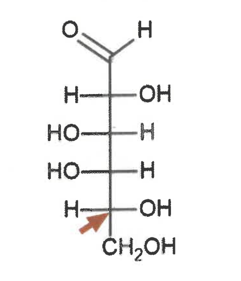 <p>the carbon highlighted by the arrow would be numbered as the:</p>