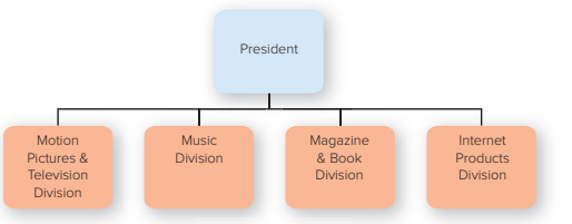 <p>organized by product, customer, or geographic divisions</p>