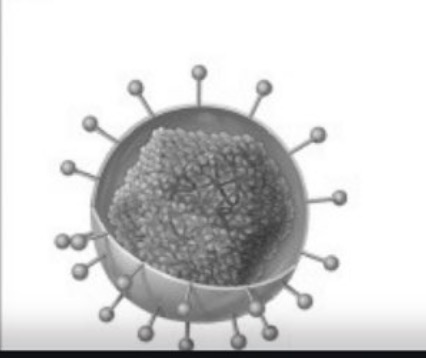 <p><span> </span></p><img src="https://hindscc.instructure.com/assessment_questions/227027622/files/77563477/download?verifier=INXFv7X65Xld1cx6paQBAoj2vSpVqPC2eDp5cWZp" data-width="100%" data-align="center" alt=""><p></p>